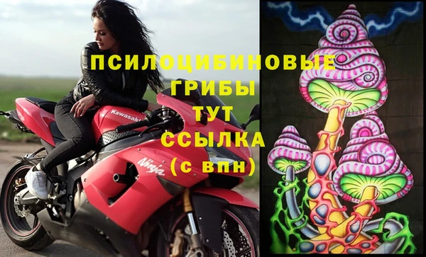 экстази Абаза
