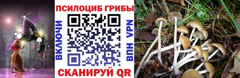 Псилоцибиновые грибы GOLDEN TEACHER  Красный Сулин 